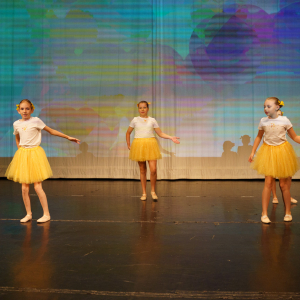 053to-akademia-bilkova-13062024@kristina-dzurickova