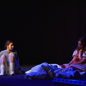 ldo-pan-v-tieni-11-2025@artim-rybim-002