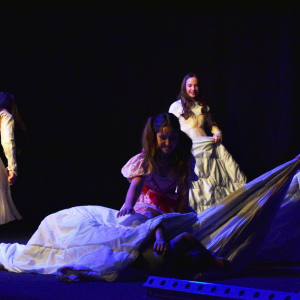 ldo-pan-v-tieni-11-2025@artim-rybim-003