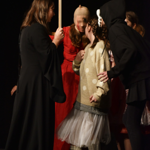 ldo-pan-v-tieni-11-2025@artim-rybim-009