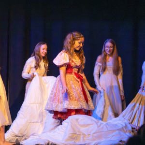 ldo-pan-v-tieni-11-2025@artim-rybim-017